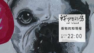 【#節目預告 養牠的知情權│11/15(一)晚間十點│公視我們的島】