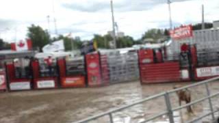 rodeo en milverton ontario canada