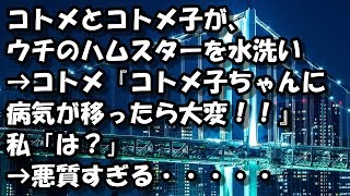 コトメとコトメ子が、ウチのハムスターを水洗い→コトメ『コトメ子ちゃんに病気が移ったら大変！！』私「は？」→悪質すぎる・・・・・