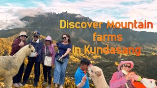 Discover Mountain farms in Kundasang  Sabah for first timePart 2