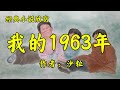 经典短篇小说欣赏《我的1963年》作者：沙粒！