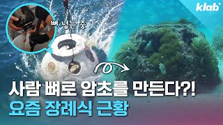 죽고 나면 바다로 돌아갈 수 있는 특별한 장례 방법｜크랩