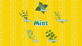 PBS Interstitial: Kitchen Categorization
