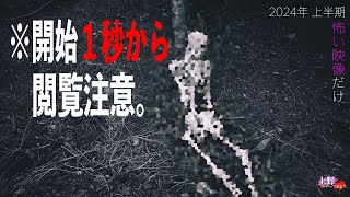 【初めての方へ回】怖い映像だけ 2024年 上半期