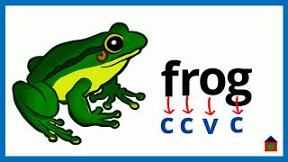 CCVC & CVCC