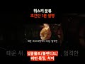 위스키 분류 1분 초간단 설명 보면 바로 이해함 _싱글몰트 블랜디드 버번 특징 차이 shorts shortvideo