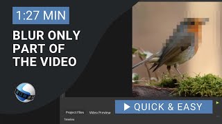 OpenShot Video Editor Tutorial: How to blur only part of the video in OpenShot