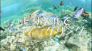 南伊豆のヒリゾ浜でシュノーケリング