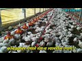 contract poultry farming व्यवसाय करून कमवले महिन्याला 2 लाख रुपये संपूर्ण पोल्ट्री व्यवसाय माहिती