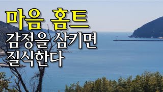 마음 홈트 (마리안 로하스 에스타페 지음. 레드스톤 펴냄)