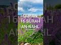 16 SURAH AN-NAHL 125 urdu translation short part-68 #allah #quran #islam #surahannahl #shorts