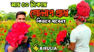 গোলাপ গ্রামের ভ্রমণ গাইড সহ সবকিছু | Golap Gram | One Day Tour | বিরুলিয়া,সাভার I Khairul's Travel