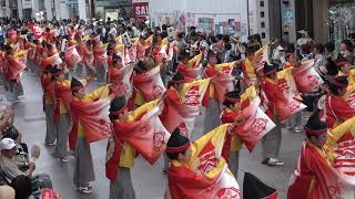 京橋・新京橋　ゑびすしばてん連  2017高知よさこい祭り本祭2日目　帯屋町筋演舞場　４K　2017 8 11