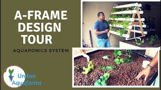 Aquaponics A-frame System Design Tour