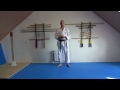 characteristic of wado kicking techniques