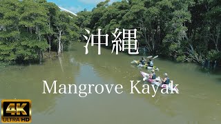 【沖縄】マングローブカヤック【冒険島】