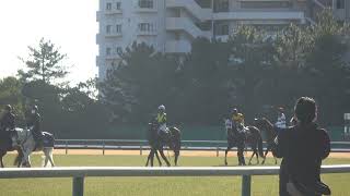 若駒ステークス 現地本馬場入り動画 リアド 武豊騎手 グランディア リューベック 若駒S 2022/1/22 中京競馬場 10R