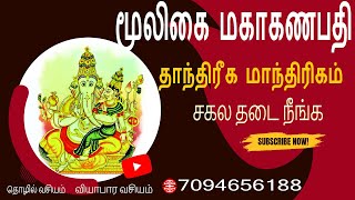 சகல தடை #கட்டு அறுக்க #மூலிகை கணபதி|financial remedies |attract growth|l Ph 7094656188#ஜோதிடம்