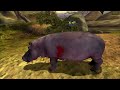 deer hunter ™ 3 00 00 hour trophy hunts the crazy animals one shot killing