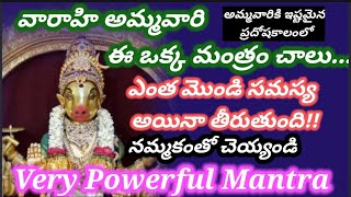 వారాహి అమ్మవారి ఈ ఒక్క మంత్రం చాలు// ఎంత మొండి సమస్య అయినా తీరుతుంది//very powerfull mantram!!