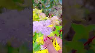 #jangling paudha #gardeningtips #ytshorts #garden #gardening #trending