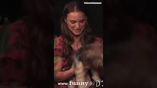 Zach makes fun of Natalie Portman's dog | Between Two Ferns | @FunnyOrDie| #shorts #natalieportman