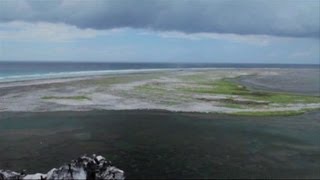 Clipperton, une île défigurée par la pollution