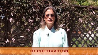 Qi cultivation and the Yin Yang philosophy in Tai Chi