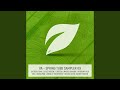 Cautious Optimism (Original Mix)