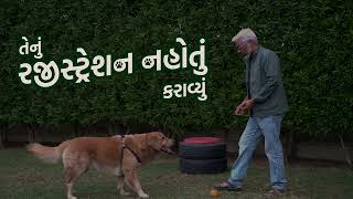 અમદાવાદના નગરજનો, આજે જ તમારા પાલતું શ્વાન / પેટ ડોગની નોંધણી કરાવો