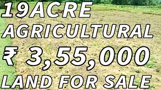 19 ACRE LAND FOR SALE | COMPACT PROPERTY FOR SALE | COST ACRE ₹ 3,55,000 | PROPERTY RPOMOTION TV