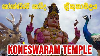 තිරු කොනේශ්වරම් කෝවිල Thirukoneswaram Kovil Tincomalee Sri Lanka