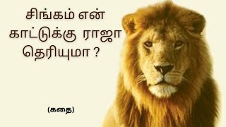 Motivational story in Tamil/ Why Lion's are king of the Jungle? ~ story