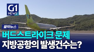 [G1짤막뉴스] 양양공항 '버드스트라이크' 3건..원주공항 0건