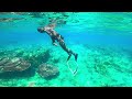 freedive at sebukang bay pulau aur house reef