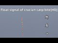 Float signal of crucian carp bite[HD]