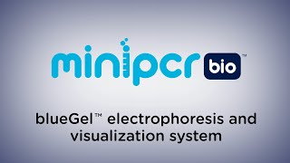 blueGel™ by miniPCR bio™