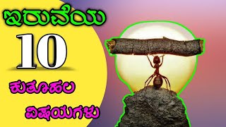 ಇರುವೆ ಬಗ್ಗೆ 15 ಕುತೂಹಲಕಾರಿ ವಿಷಯಗಳು/facts about ant/15 facts/15 facts about ant/