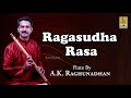 A Flute Carnatic Classical concert by A.K. Raghunadhan | Ragasudha Rasa Jukebox
