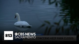 Bird flu concerns keep Sacramento-area park closed