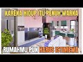 Pasti Bikin Betah! Rumah 6x10 Penuh Warna, Ruang Utama & Dapurnya Bikin Kagum!