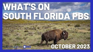 What's on South Florida PBS | October 2023