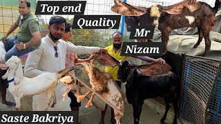 Top Quality hyderabadi breeder bakre aur Saste bakriya available in Hyderabad at Mr Nizam Goat Farm