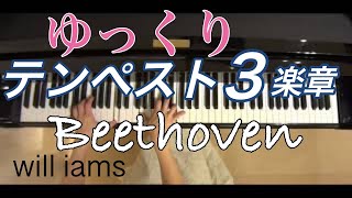 【ゆっくり動画】テンペスト３楽章 ピアノソナタNo.17/ベートーヴェンBeethoven