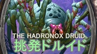 【大激闘】ガッチガチやぞ！挑発ドルイド【Hearthstone】