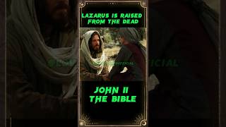 John 11 | Lazarus Is Raised from the Dead | The Bible #bible #shorts #jesusheals #miraclesofjesus