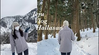 [Vlog] 제주여행🍊1월의 눈내린 한라산🏔성판악코스에서 관음사코스로