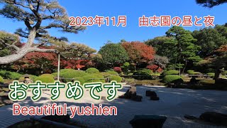 R5年11月22日　由志園の美しき紅葉　昼と夜（ライトアップ）YUUSIEN GARDEN IN DAIKONSHIMA