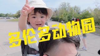 VLOG 004｜多伦多动物园｜Toronto Zoo｜解封后的多伦多动物园什么样？｜一岁半的小朋友看的懂吗？