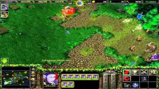 Warcraft 3 - WTii (N) vs Scumhunter (N)